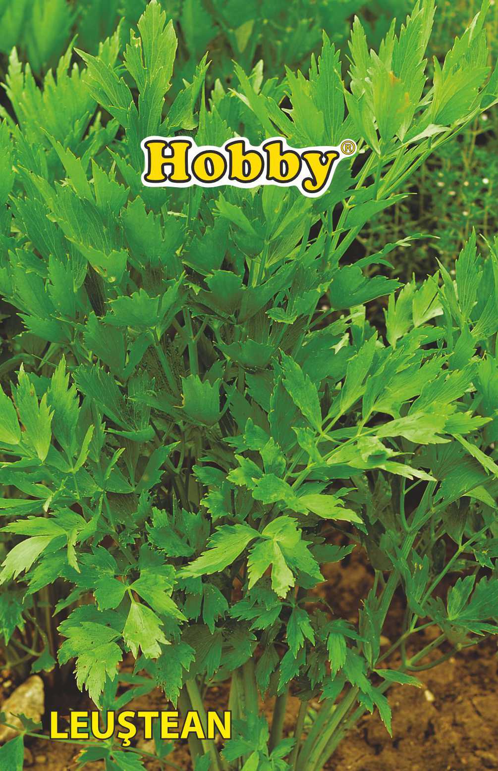 Seminte leustean  Hobby