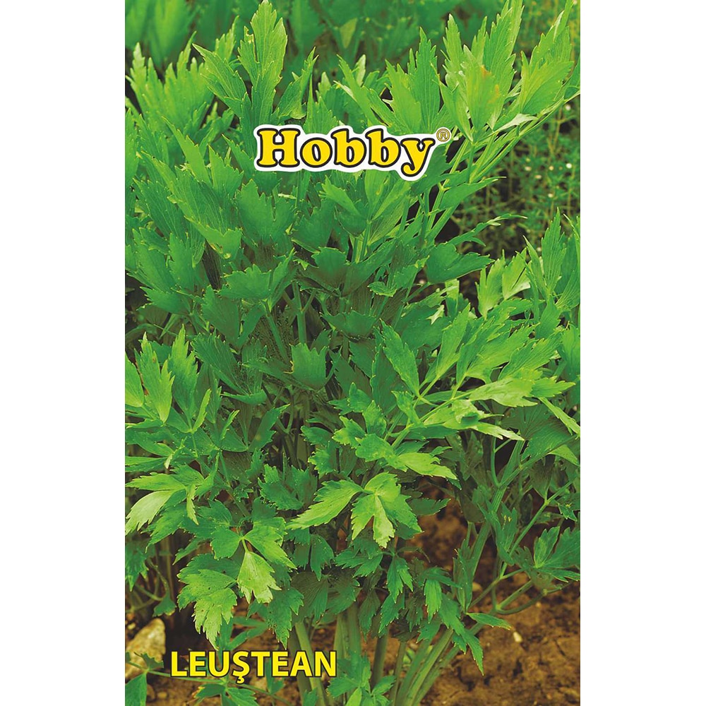Seminte plante aromatice leustean HOBBY