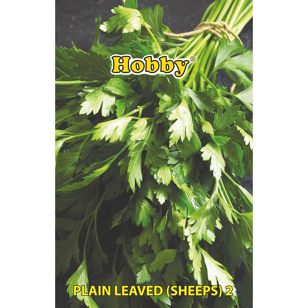 Seminte plante aromatice patrunjel frunze Plain HOBBY