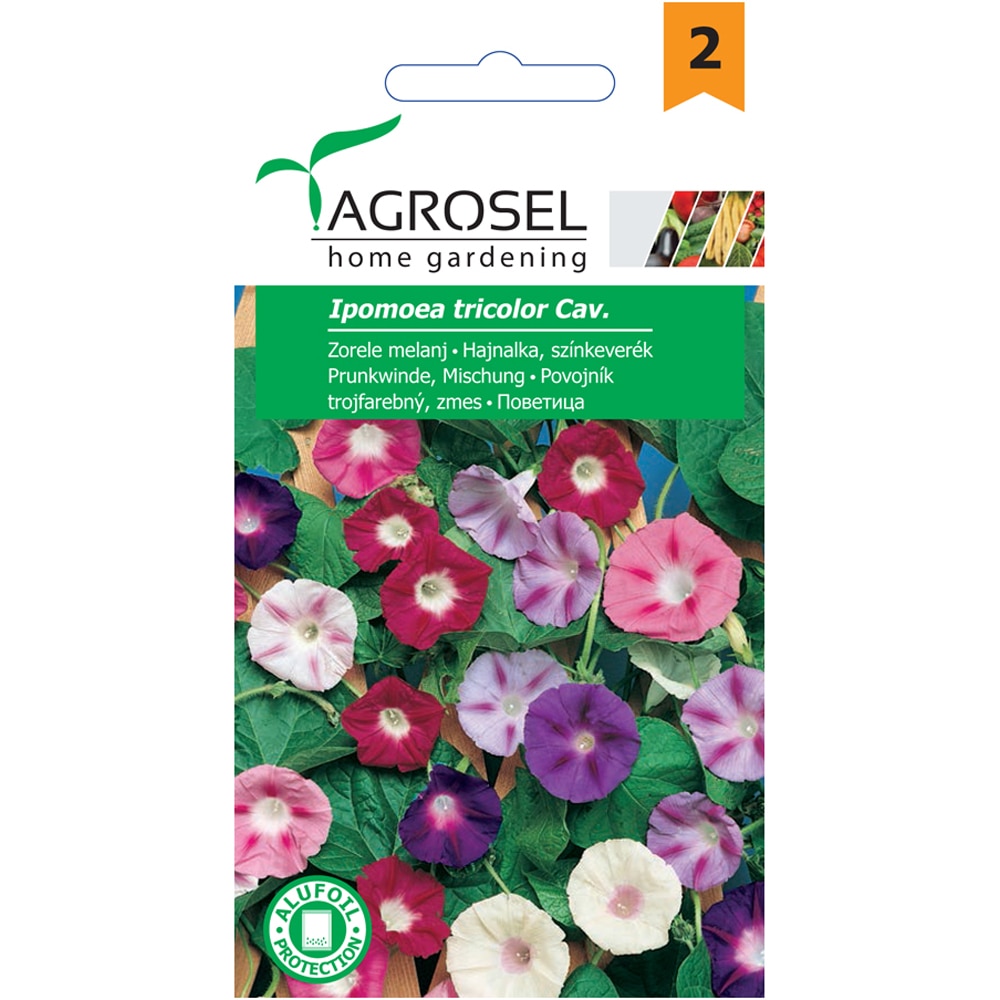 Seminte flori Zorele melanj AGROSEL
