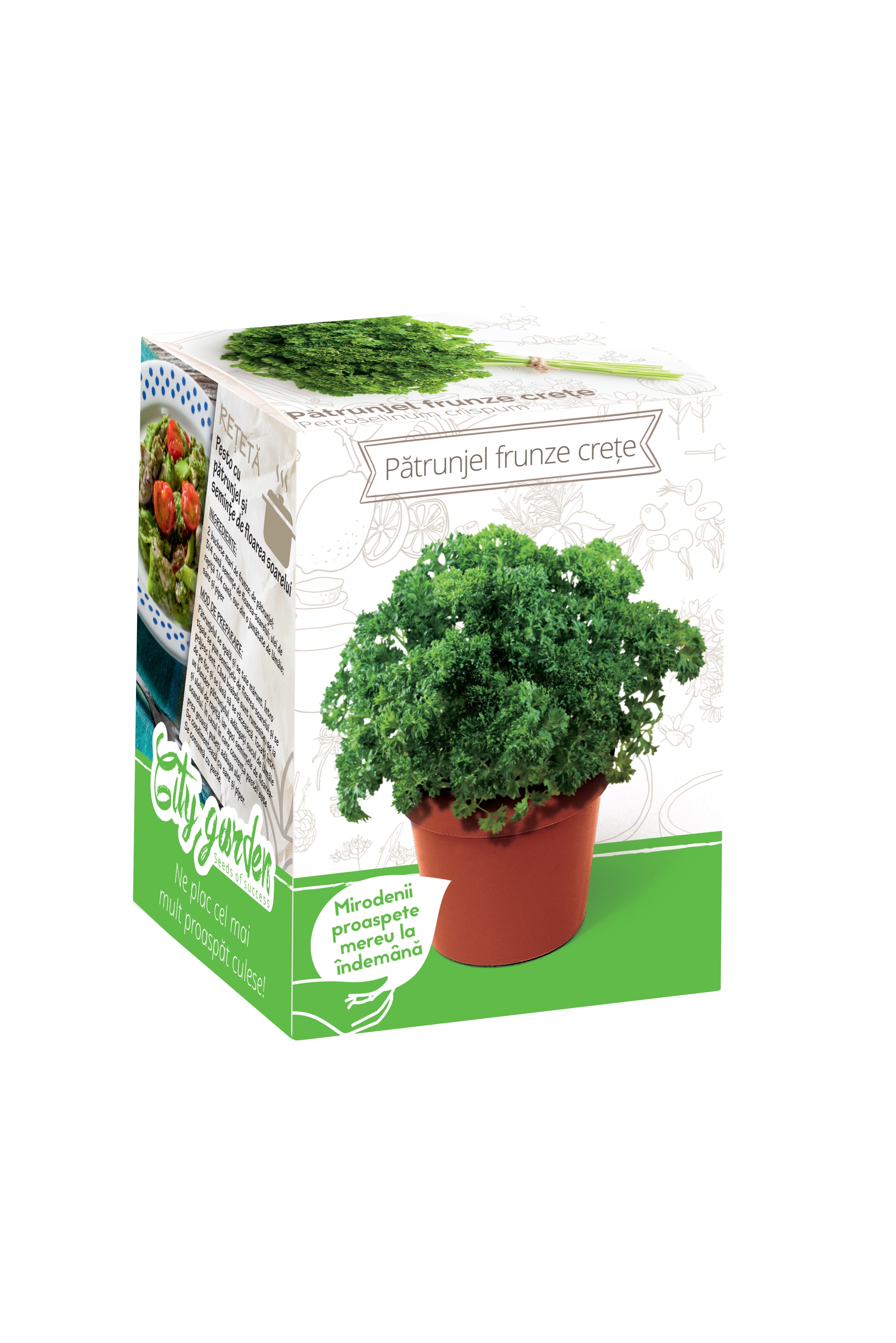 Patrunjel Frunze Creata