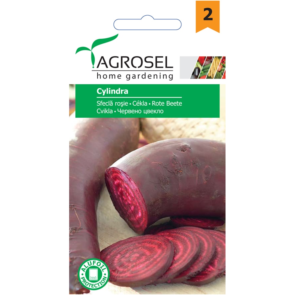 Seminte legume sfecla rosie Cylindra AGROSEL, 5g