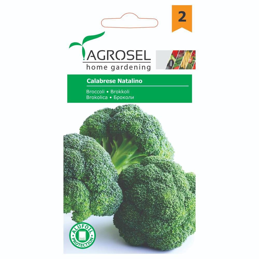 Seminte legume broccoli Calabrese Natalino AGROSEL, 0.6g