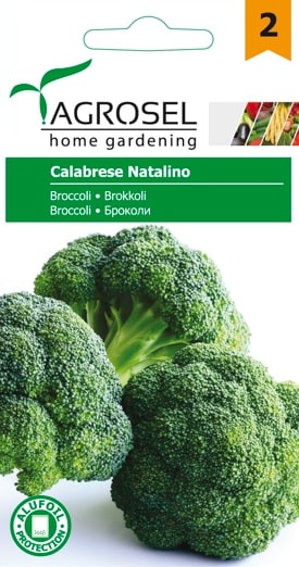Seminte broccoli Calabrese Natalino Brassica  Agrosel