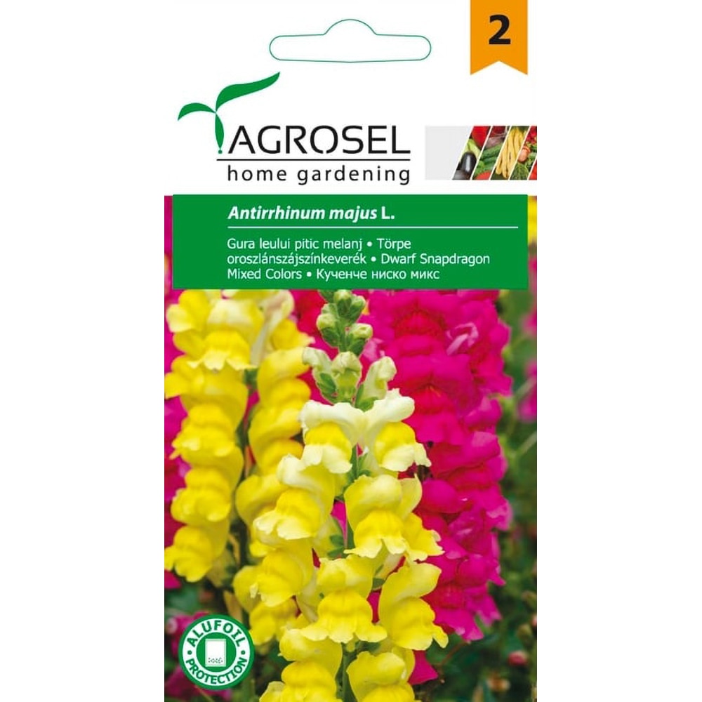 Seminte flori Gura Leului pitic AGROSEL, 1g