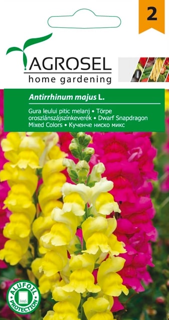 Seminte gura leului pitic  Agrosel