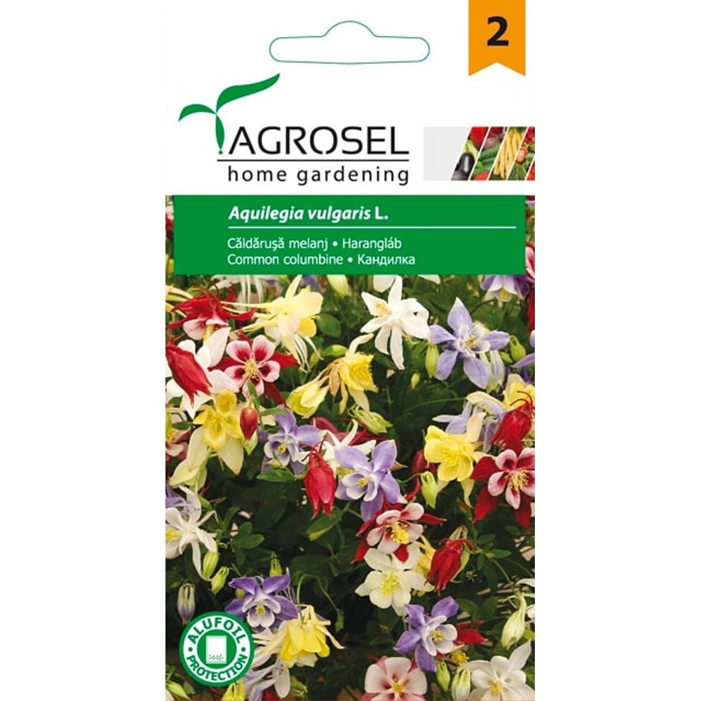 Seminte flori Aquilegia melanj AGROSEL, 0.25 g