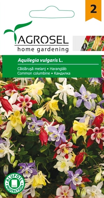 Aquilegia 0.25G Plic