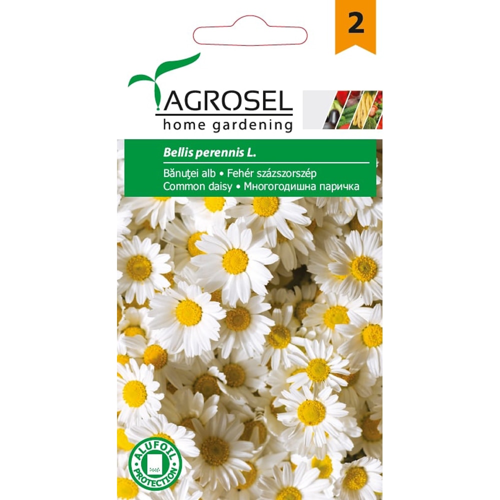 Seminte flori Banutei dublu melanj AGROSEL, 0.3 g