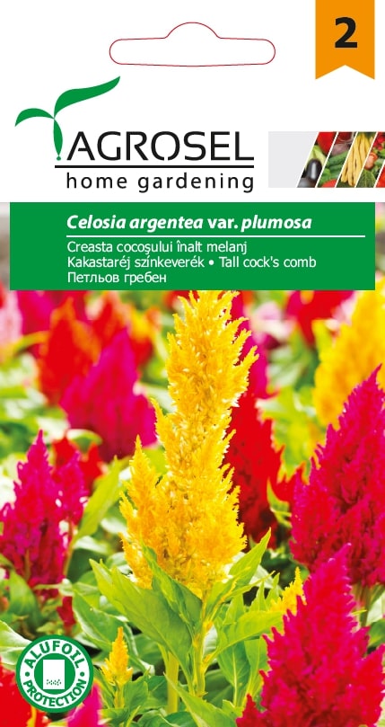 Seminte creasta cocosului inalt  Agrosel