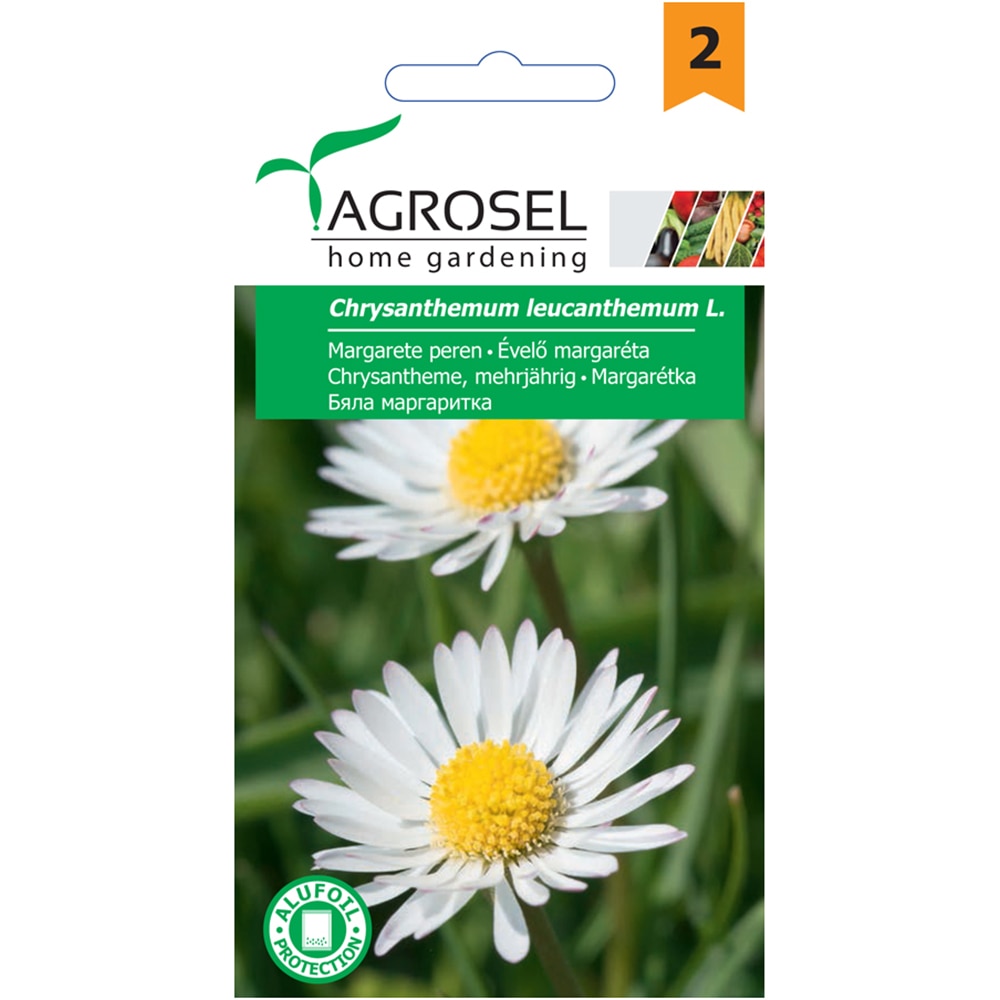 Seminte flori Margareta perena AGROSEL, 2g