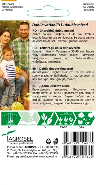 Dahlia Variabilis 1G Plic