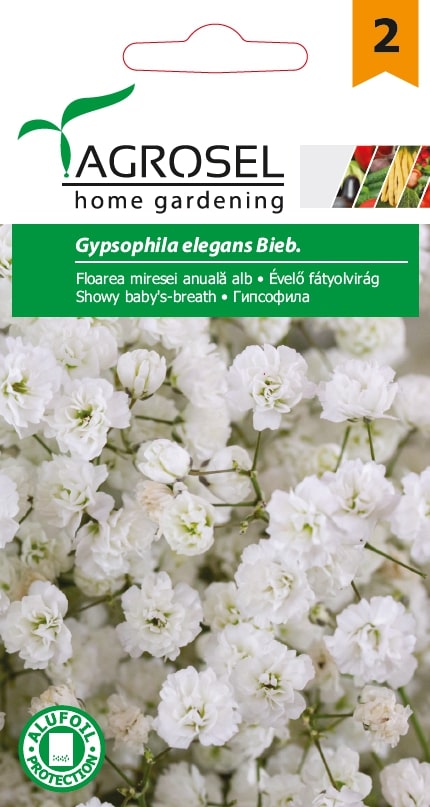 Floarea Miresei Perena 1.00G Plic