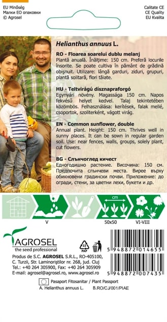 Helianthus Annus 3G Plic