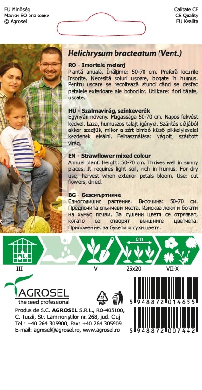Helichrysum 1G Plic