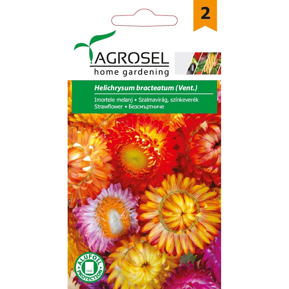 Seminte flori de pai (Helichrysum) AGROSEL, 1 g