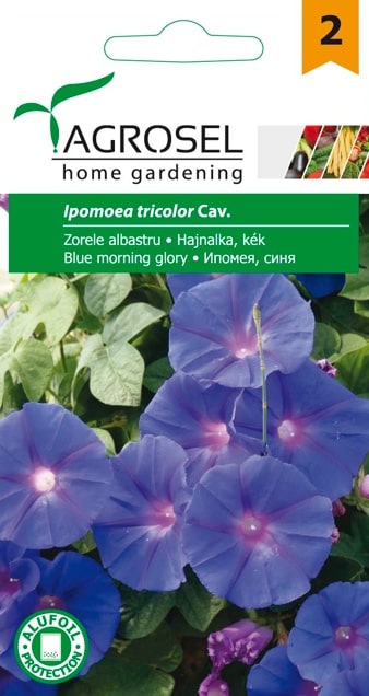 Ipomoea Tricolor 2G Plic
