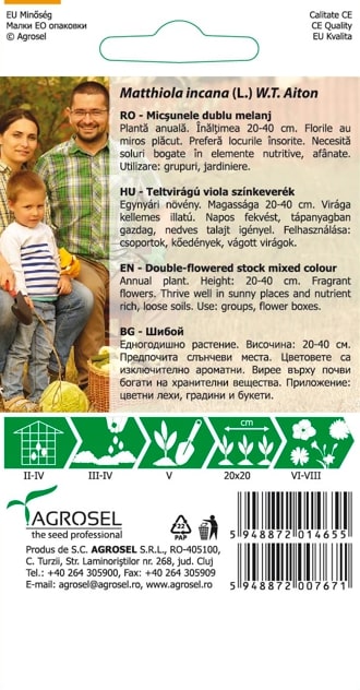 Matthiola Incana 1G Plic