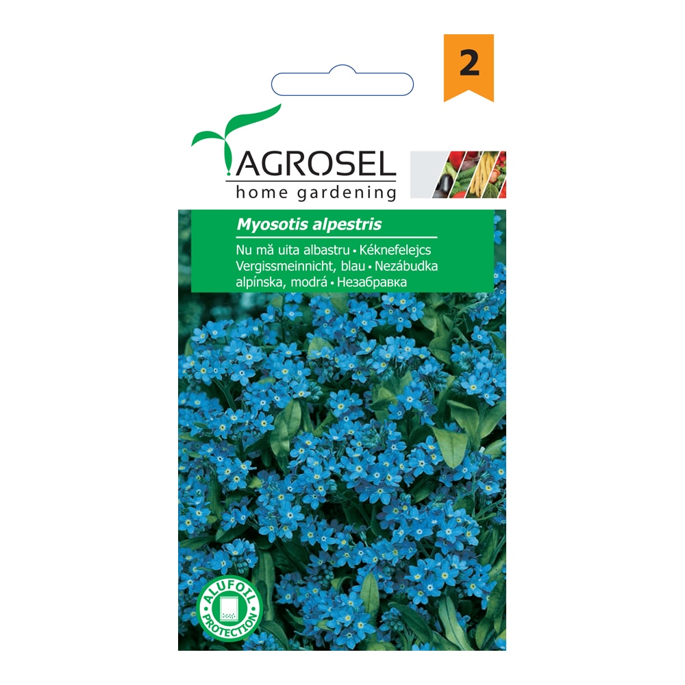 Myosotis Alpestris 1G Plic
