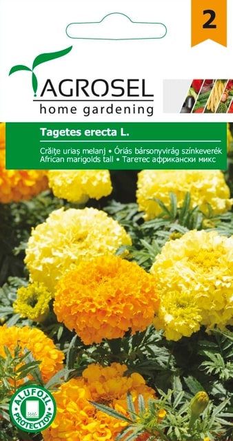 Tagetes Erecta 2G Plic