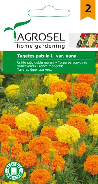 Tagetes Patula 1.3G Plic