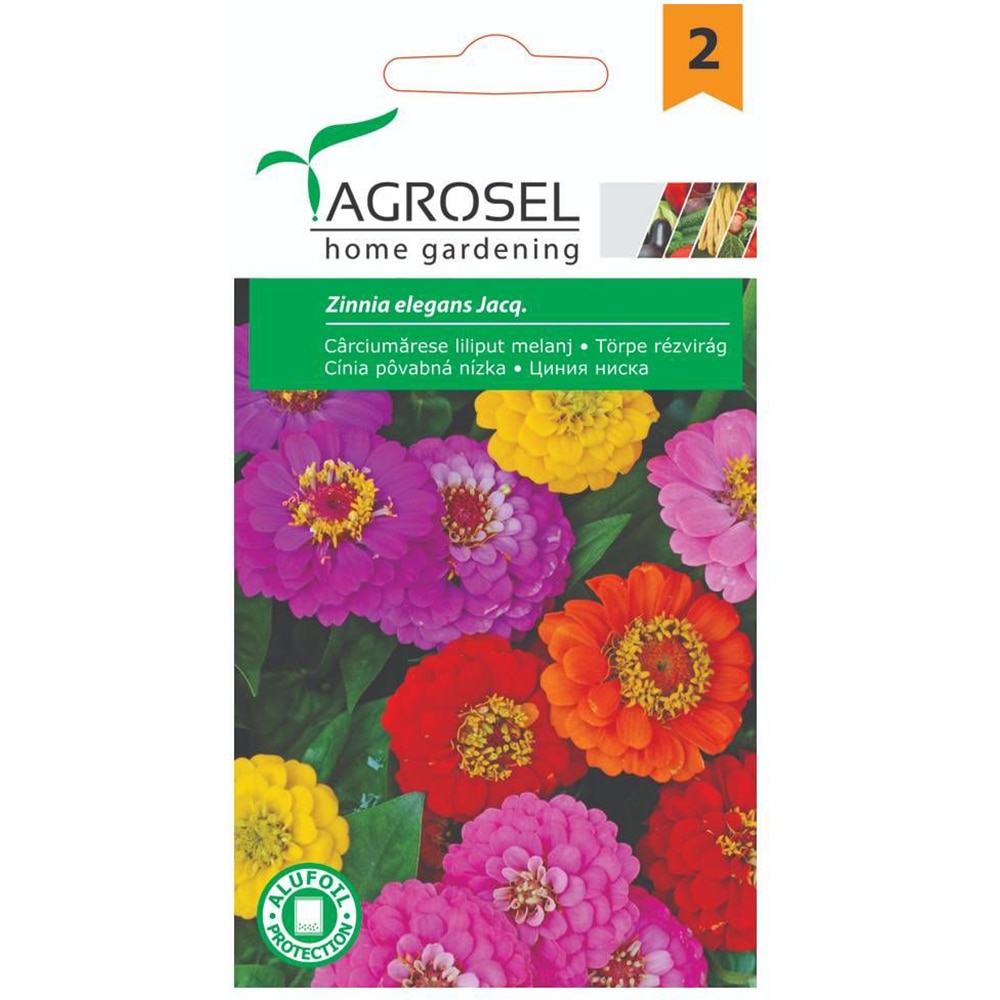 Seminte flori Carciumarese liliput melanj AGROSEL, 2g