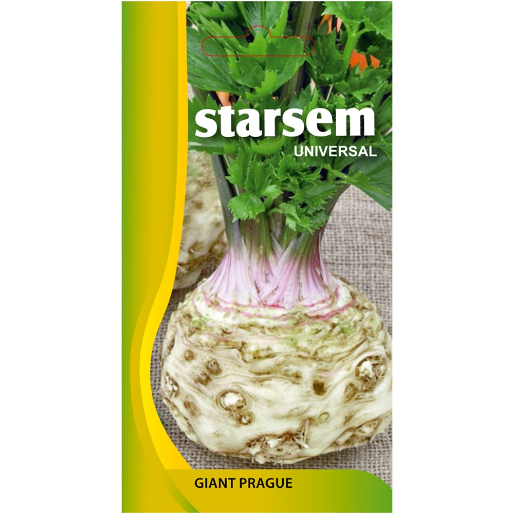 Seminte legume Telina gigant STARSEM