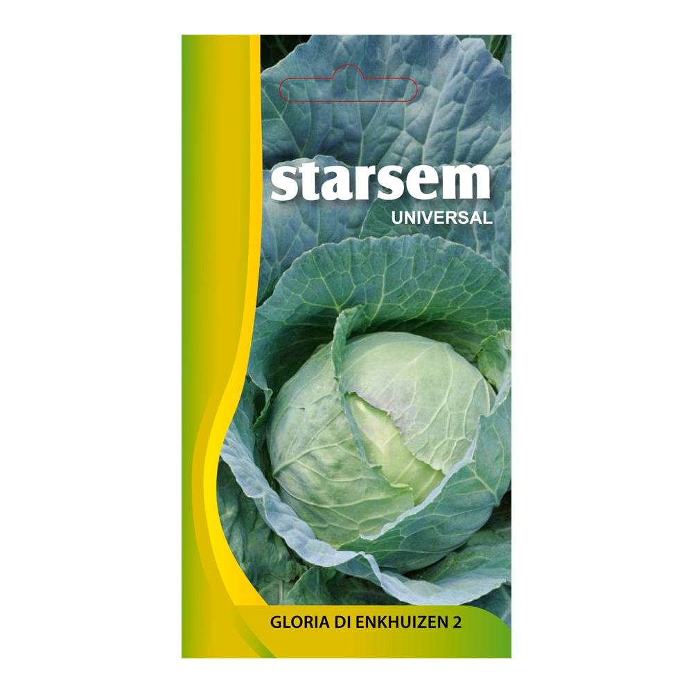 Seminte varza, Gloria  Starsem