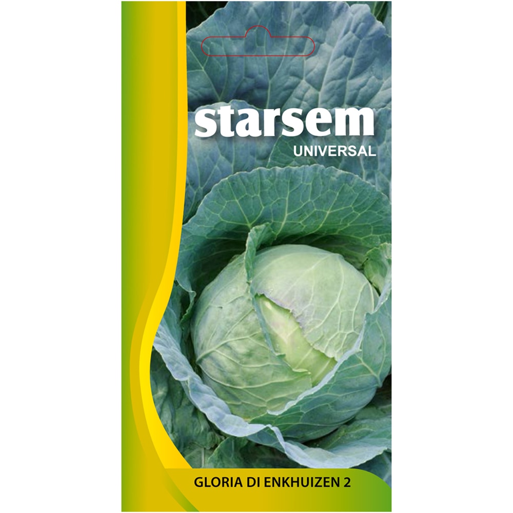 Seminte legume Varza Gloria STARSEM