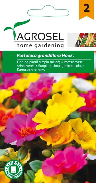 Flori De Piatra Simplu Melanj 1.6G Plic