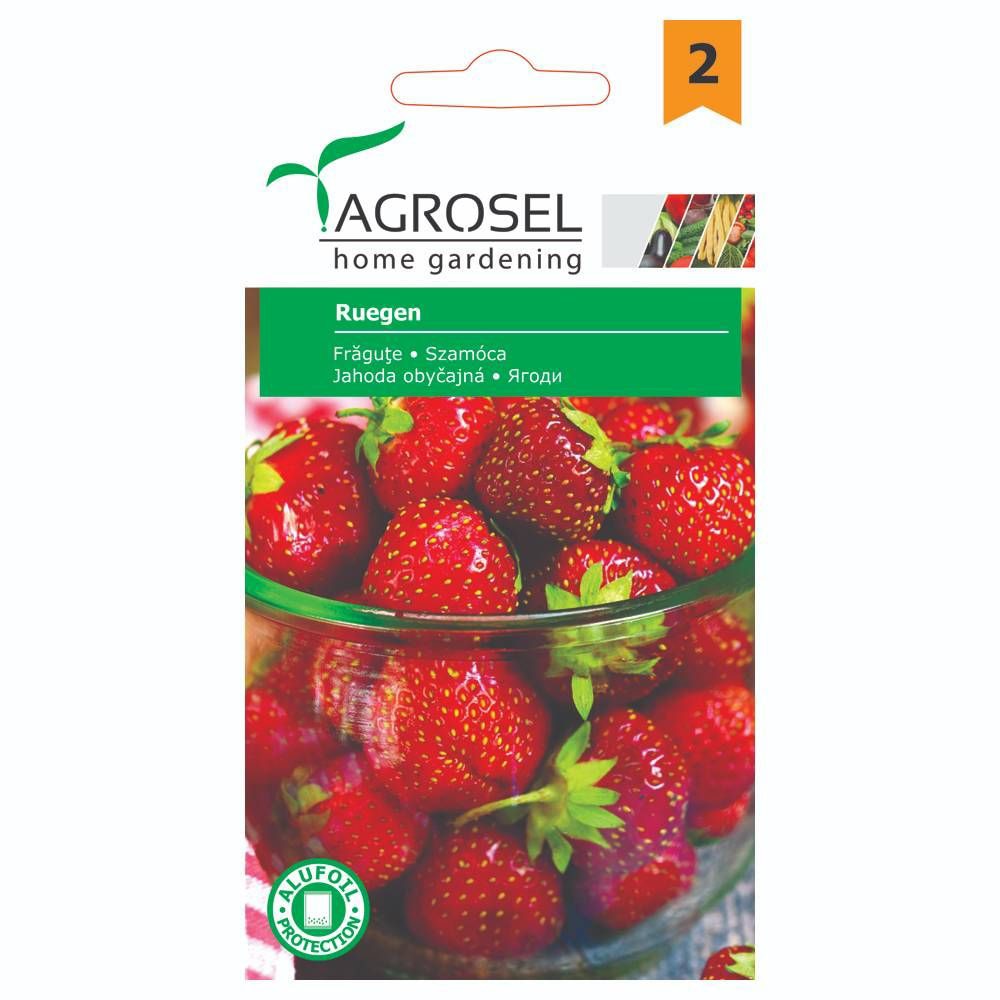 Seminte capsuni Fragute Ruegen AGROSEL, 0.1g