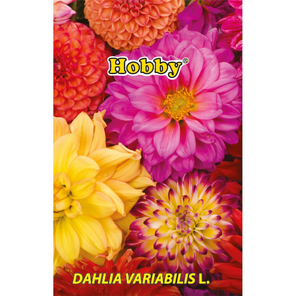 Seminte Gherghina HOBBY, multicolor