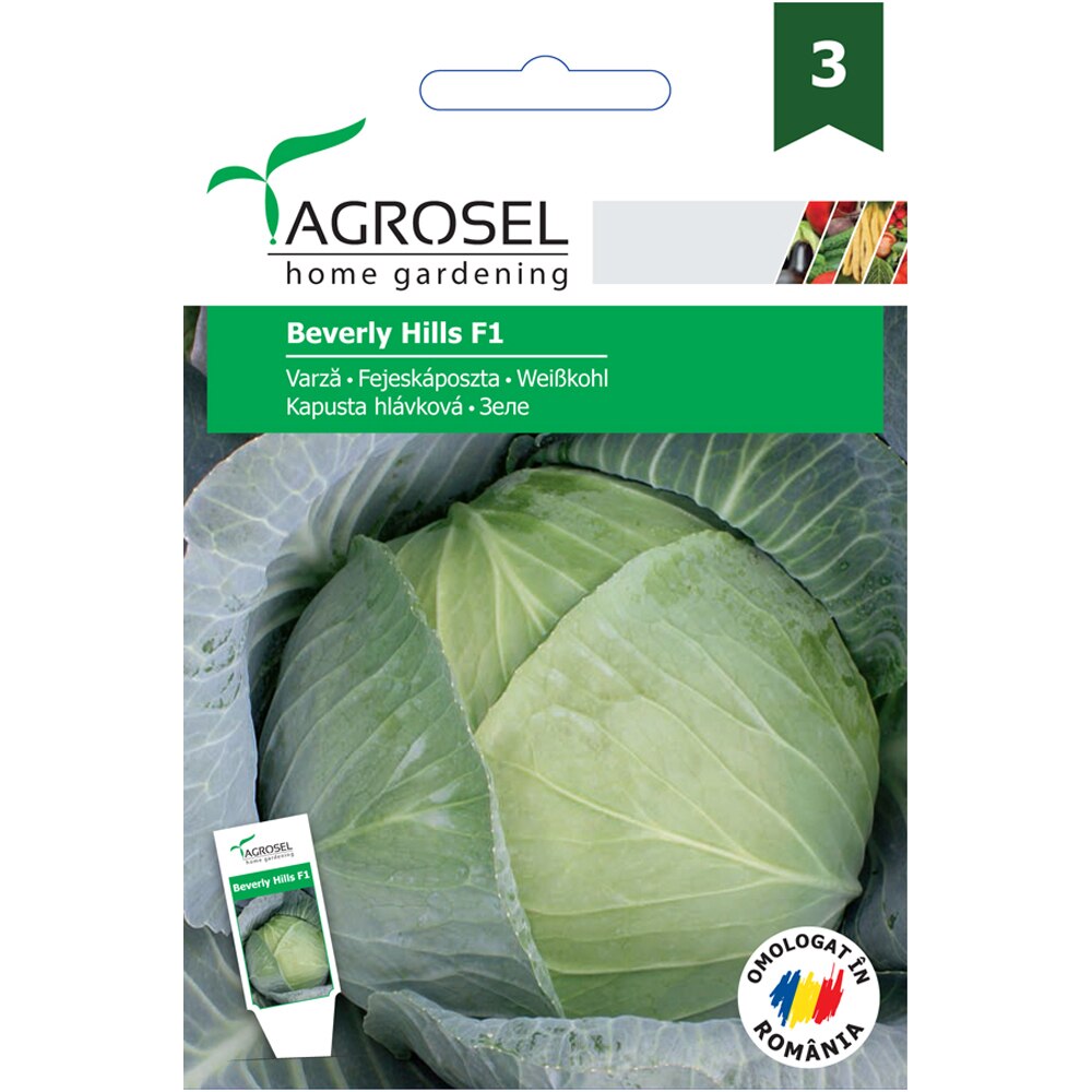 Seminte de legume Varza Beverly Hills F1 AGROSEL, 1 plic