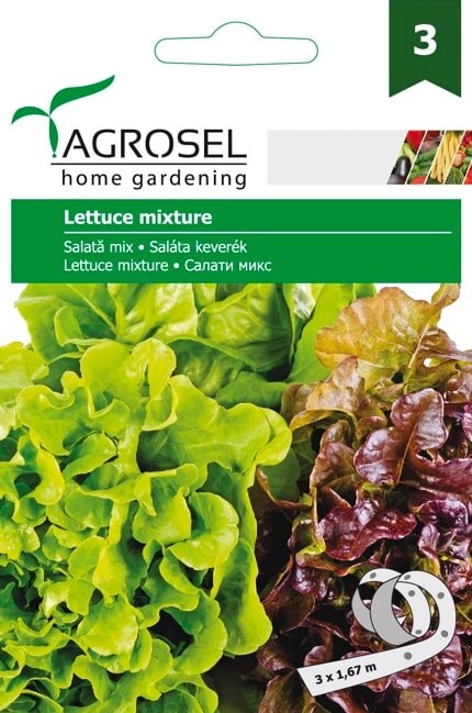 Salata Mix Lollo R. Bl.Paris. Attraktion