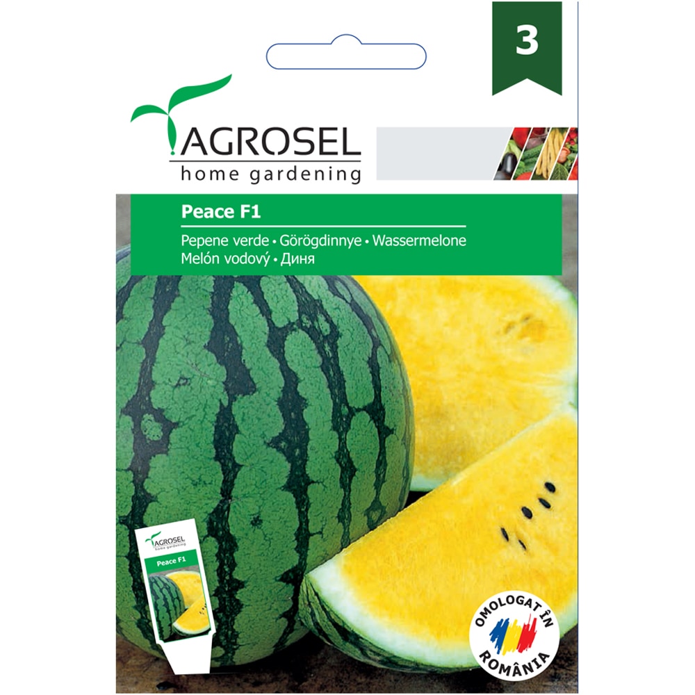 Seminte de legume Pepene verde Peace F1 Price AGROSEL, 1 plic