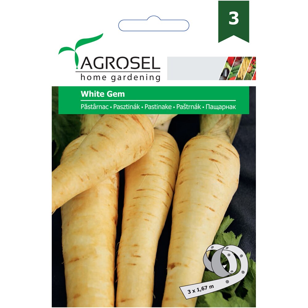 Seminte de legume Pastarnac White Gem AGROSEL, 1 plic