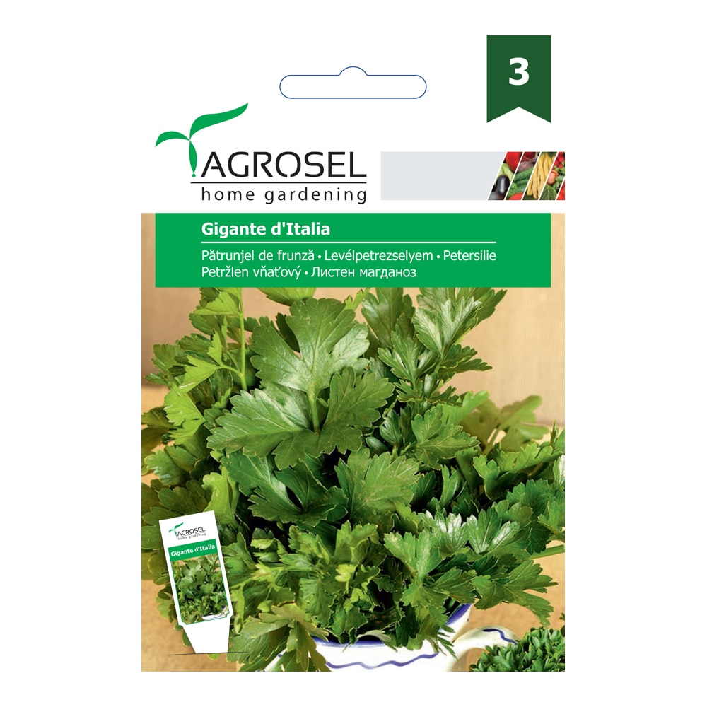 Patrunjel De Frunza Gigante Itali Price
