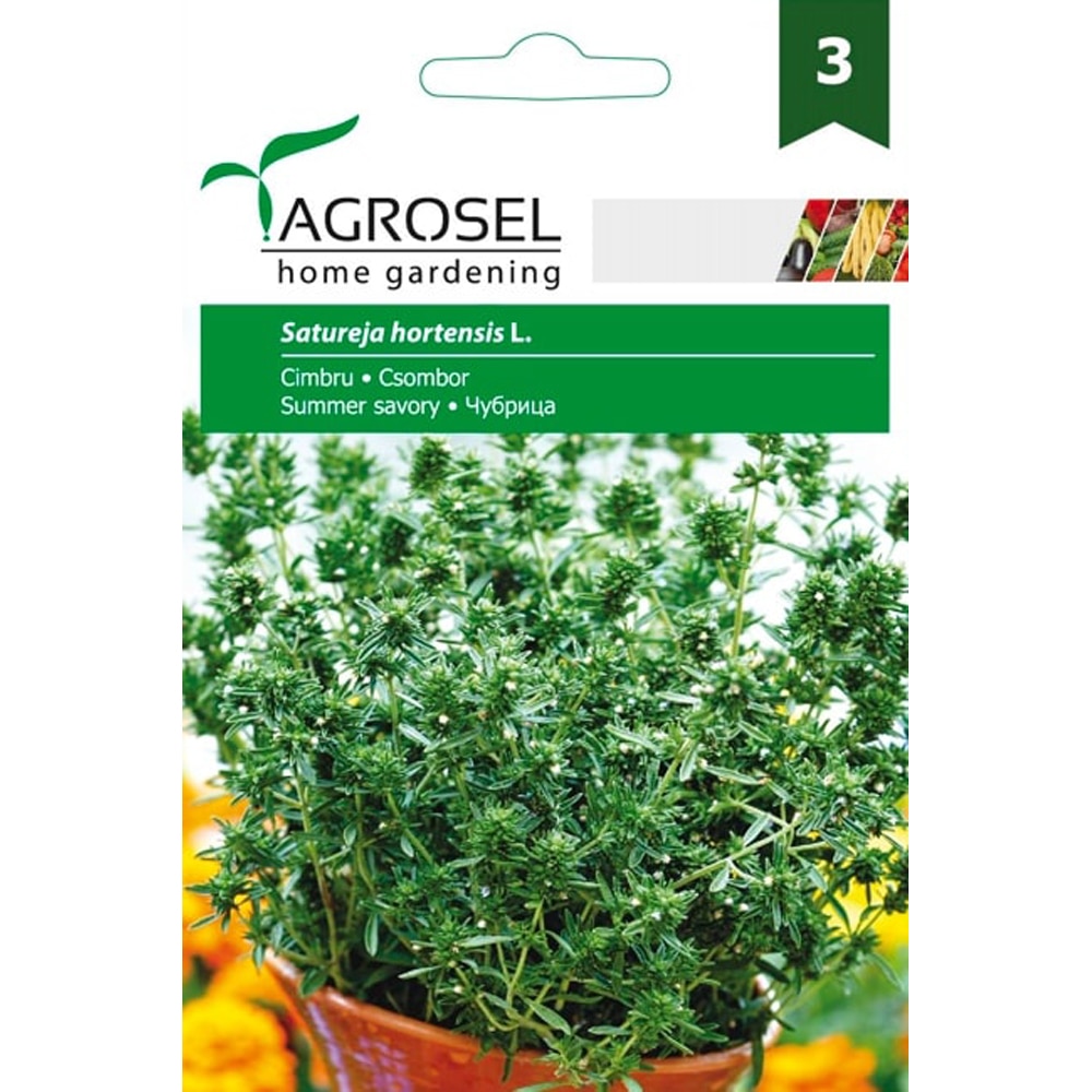 Seminte de legume Cimbru AGROSEL, 1 plic