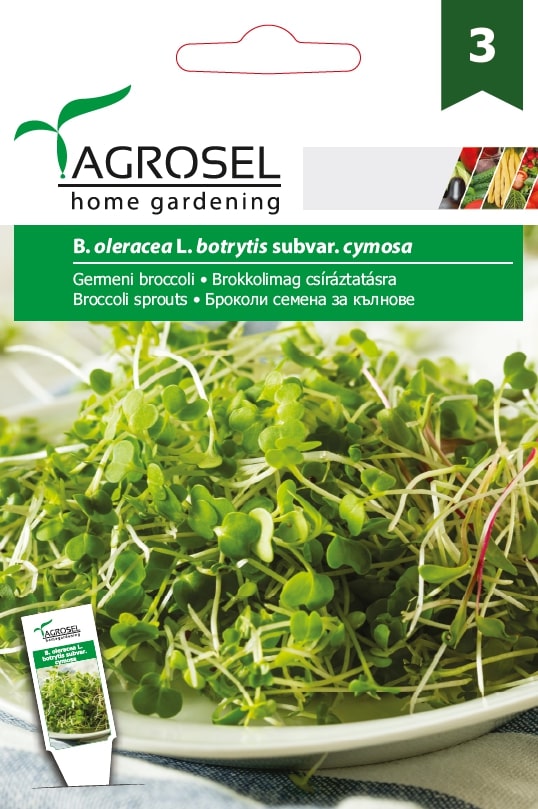 Germeni Brocoli Price