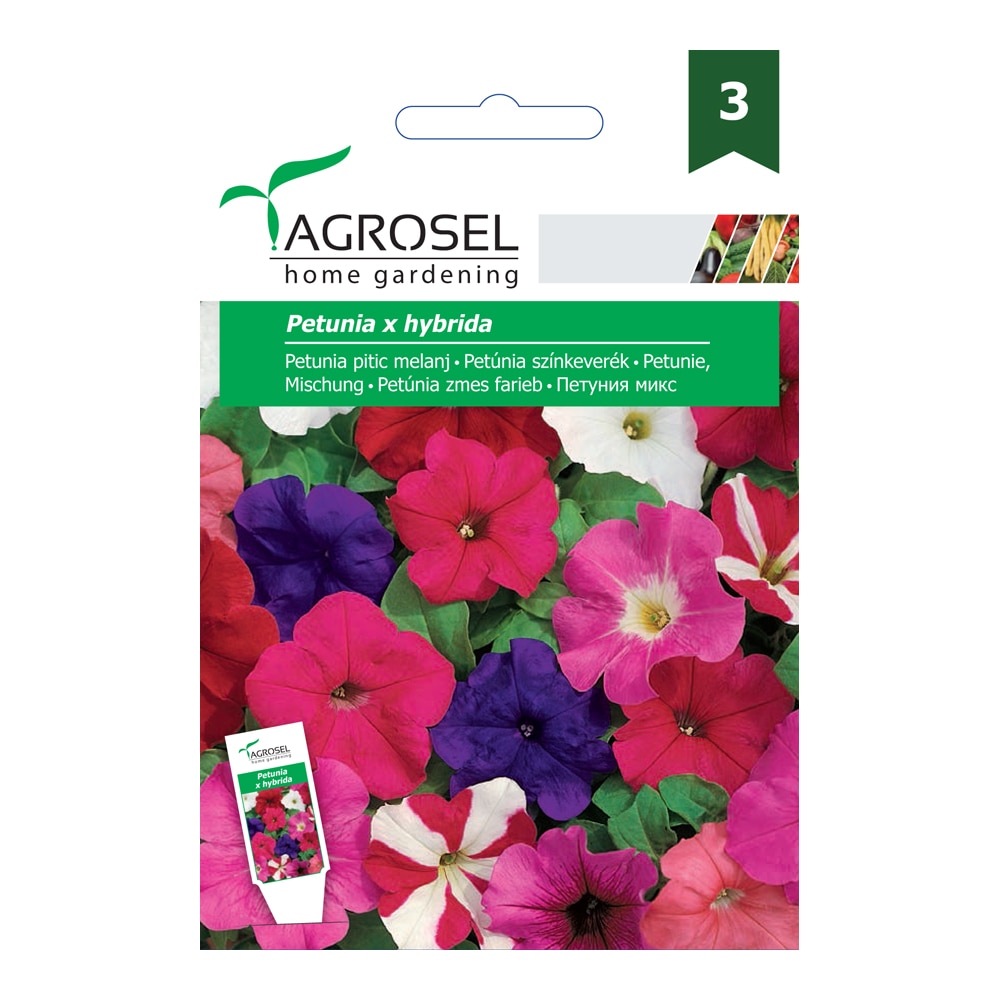 Seminte petunie pitica  Agrosel