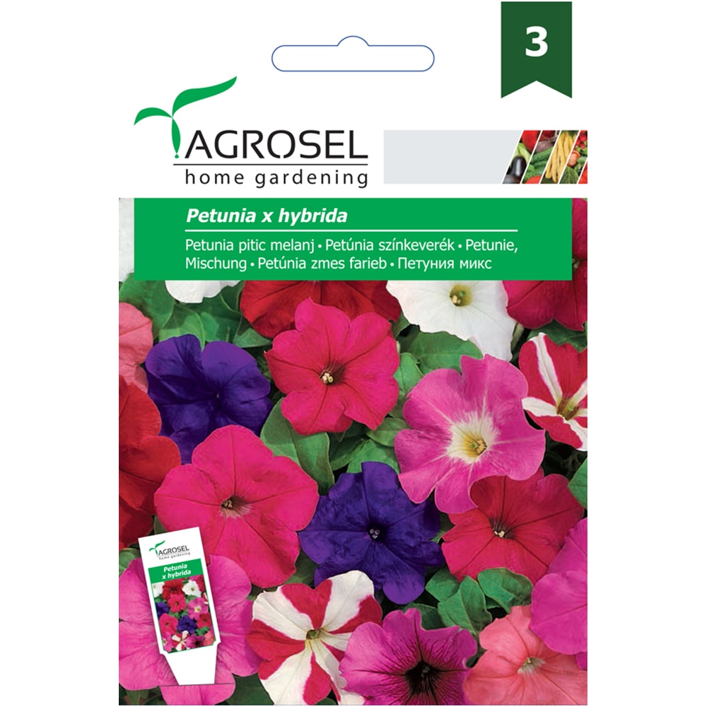 Seminte flori Petunia pitica melanj AGROSEL, 1.5g