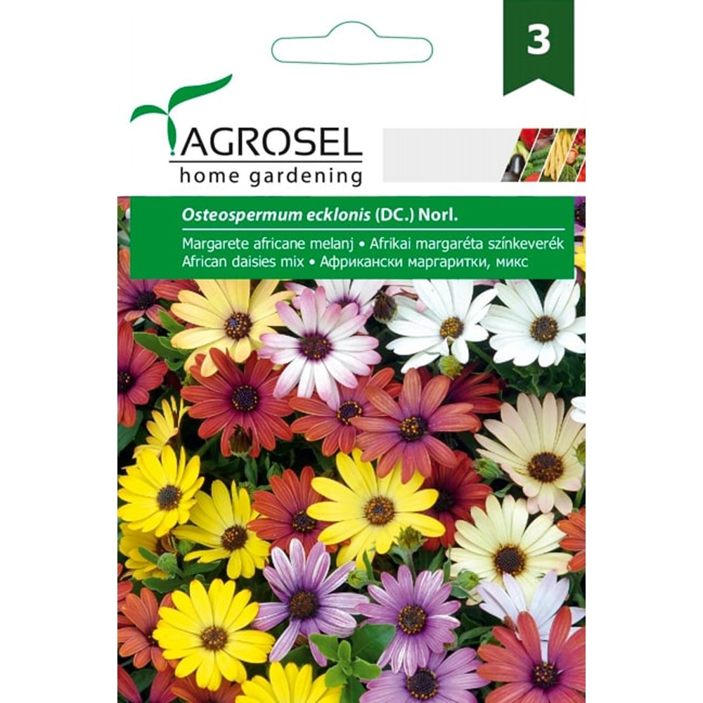 Seminte flori Margarete africane melanj AGROSEL