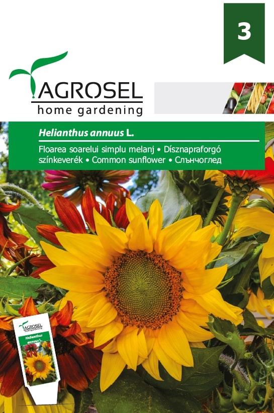 Seminte floarea soarelui  Agrosel