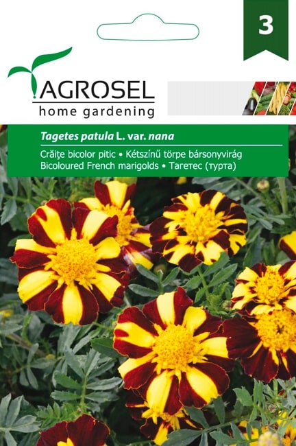 Seminte craite bicolore  Agrosel