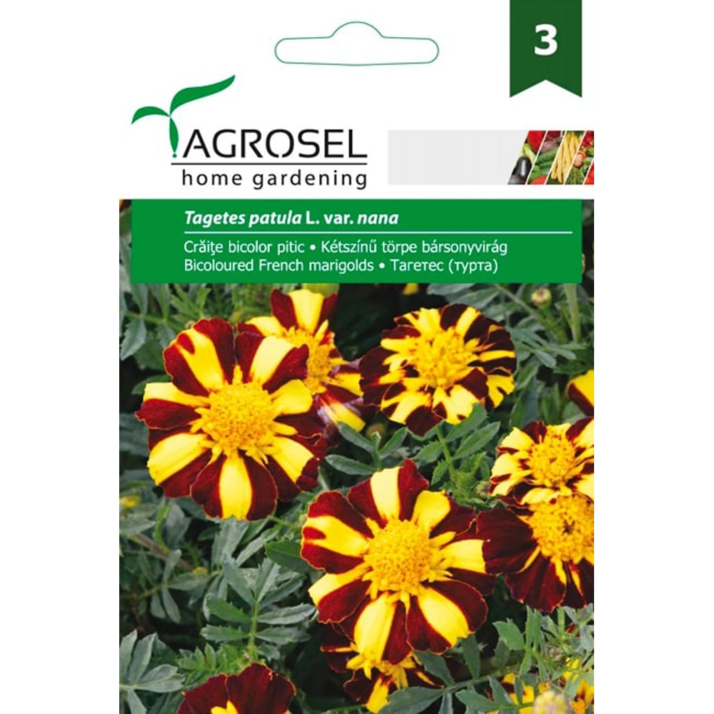 Seminte de flori Craite bicolore AGROSEL, 1 plic