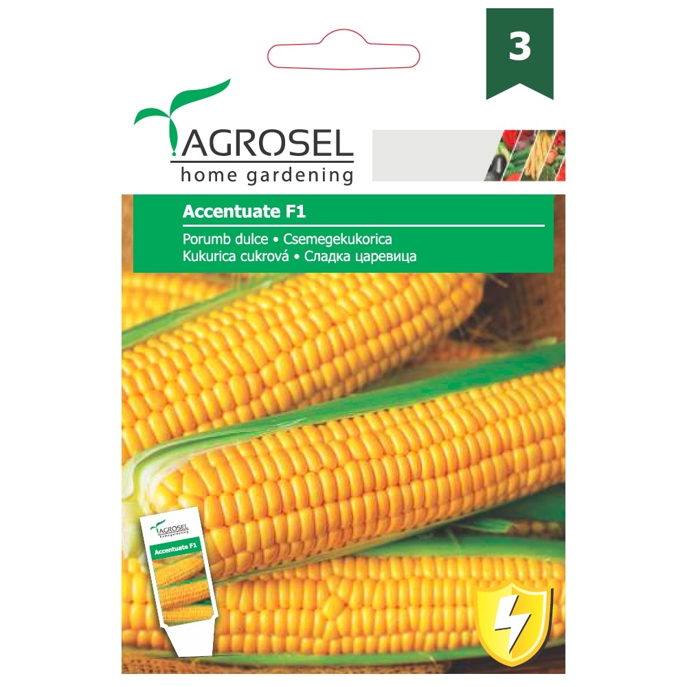 Seminte porumb Dulce  Agrosel