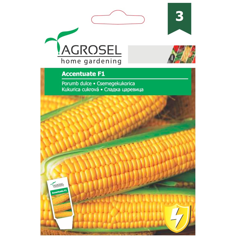Seminte de legume Porumb dulce AGROSEL, 1 plic