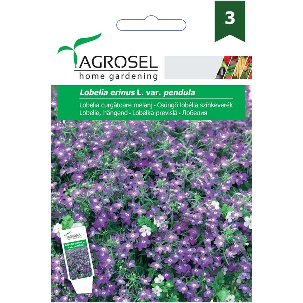 Seminte flori Lobelia curgatoare melanj AGROSEL, 0.5g