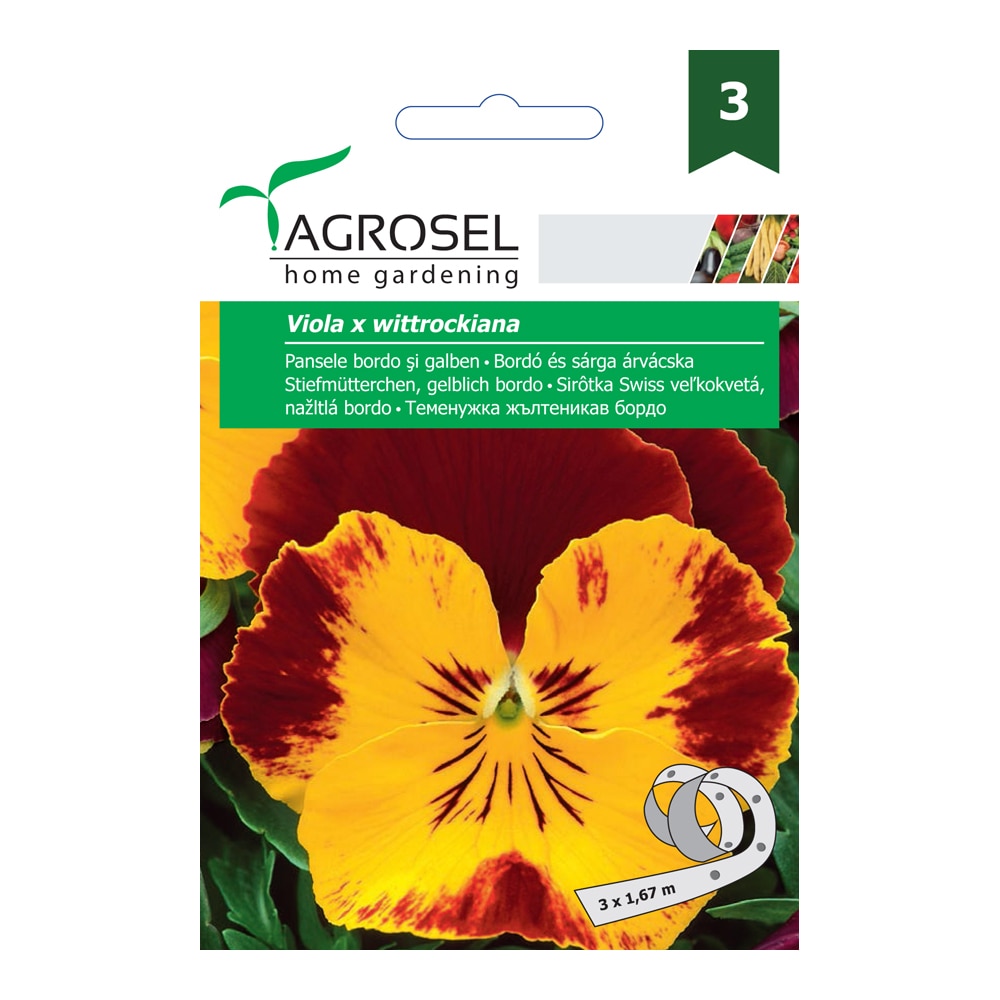 Pansele bordo si galben  Agrosel