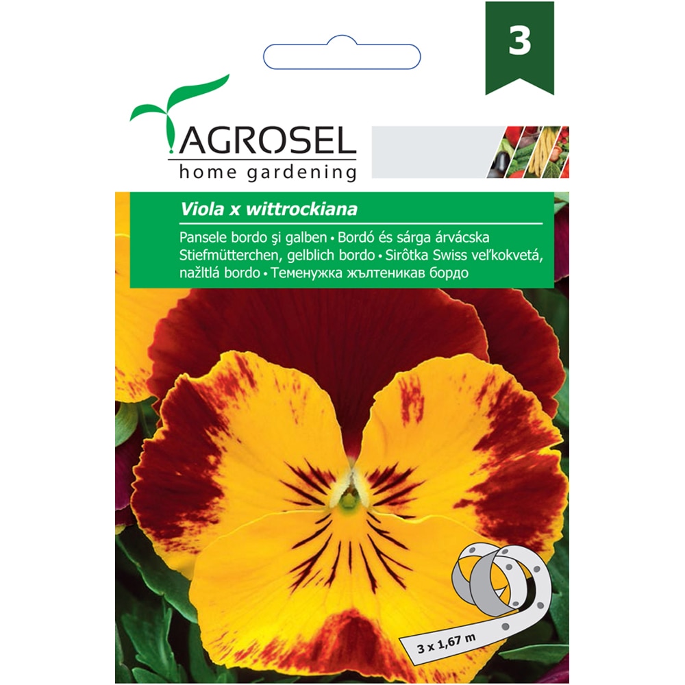 Seminte de flori Pansele bordo si galben AGROSEL, 1 plic
